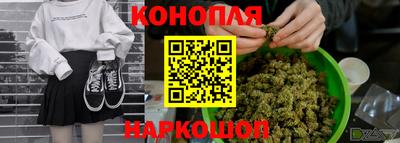 дживик Бийск