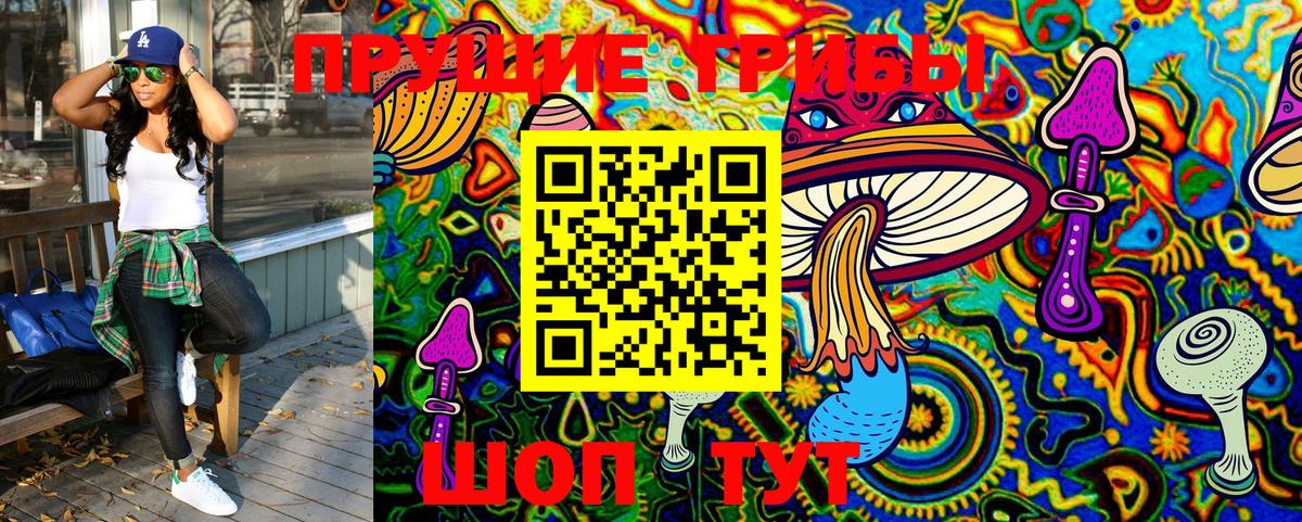 Галлюциногенные грибы мухоморы Волоколамск